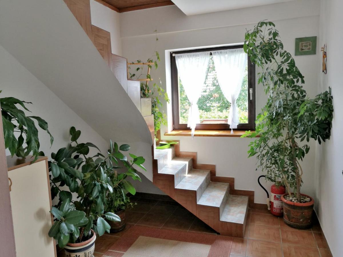 ポールヤナク House Maricaヴィラ エクステリア 写真